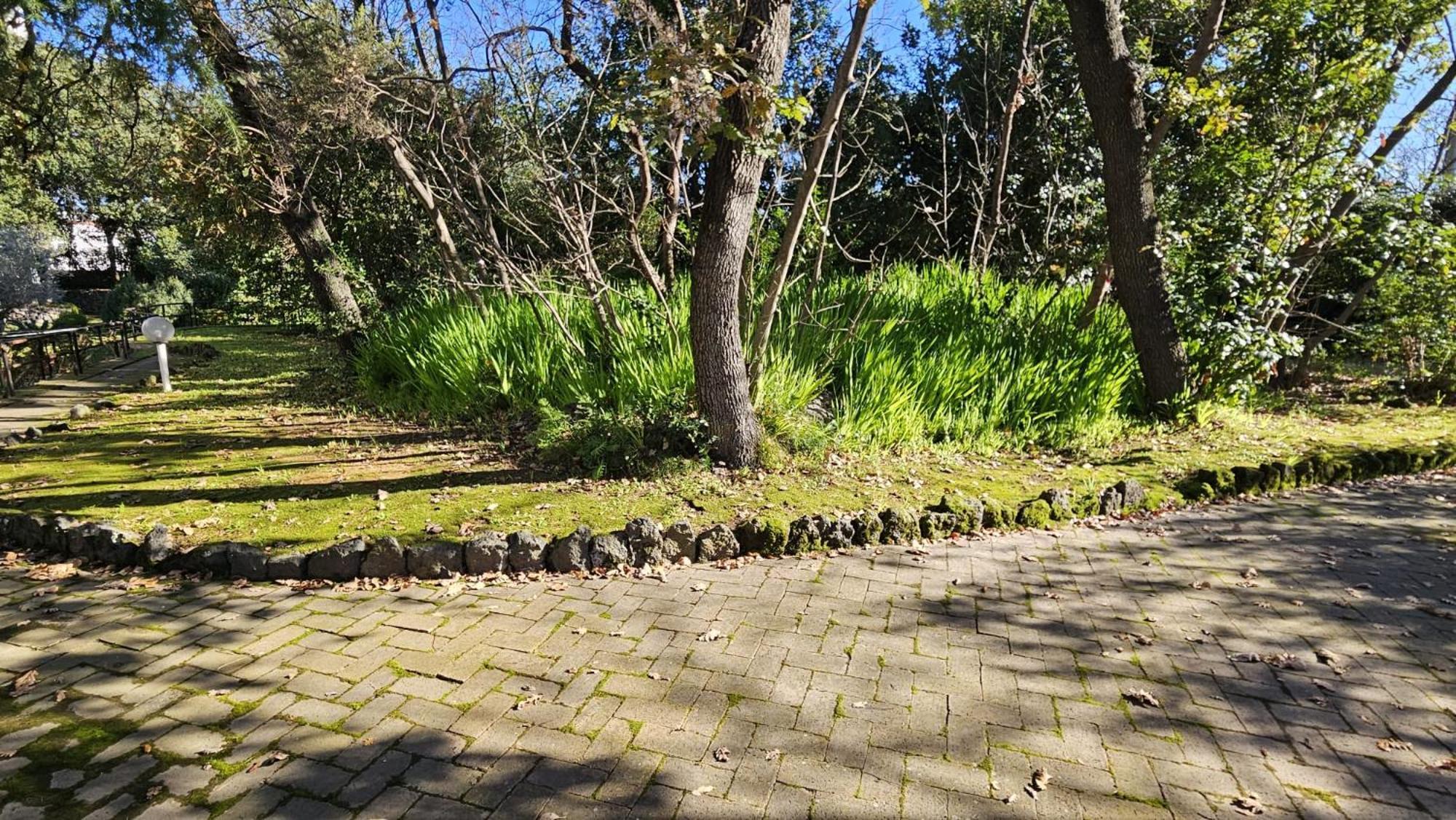 Villa Lia - Ischia Porto Luaran gambar